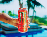 Monster Energy Ultra Rosa PMP