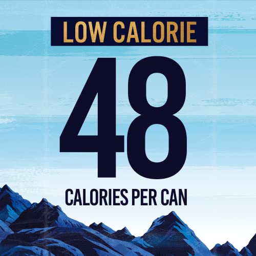 TENZING Natural Energy Drink, Plant Based, Vegan, & Gluten Free Drink, Raspberry & Yuzu