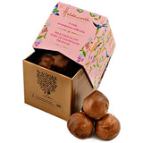 Holdsworth Chocolates Classics - Indulgent Collection an Impressive Assortment of Handmade Truffles Creams, Pralines and Caramels all Coasted with Milk, Dark or White Chocolate