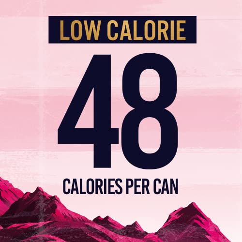 TENZING Natural Energy Drink, Plant Based, Vegan, & Gluten Free Drink, Raspberry & Yuzu