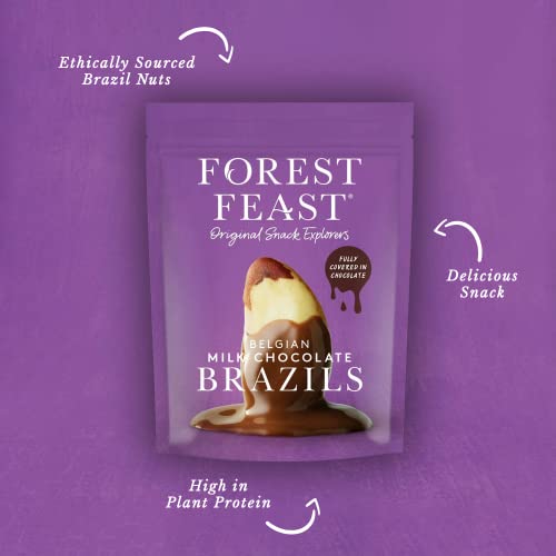 FOREST FEAST Salted Dark Chocolate Almonds 12 x 40g | Dark Chocolate Coated Salted Almonds with Real Belgian Dark Chocolate, Gluten Free High Protein Vegan Snack