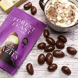 FOREST FEAST Salted Dark Chocolate Almonds 12 x 40g | Dark Chocolate Coated Salted Almonds with Real Belgian Dark Chocolate, Gluten Free High Protein Vegan Snack